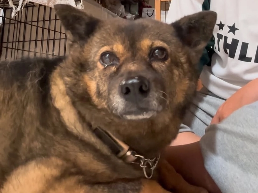 あけましておめでとうございます。今年もよろしくお願いいたします。