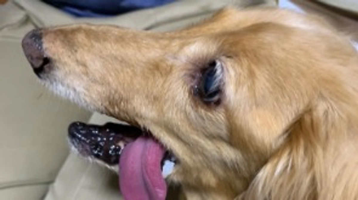 代理支援御礼m(_ _)m