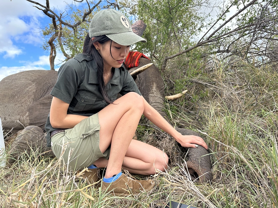 【生ラジオ出演！】　J-WAVEの「J-WAVE START LINE」に太田ゆかさんが出演！