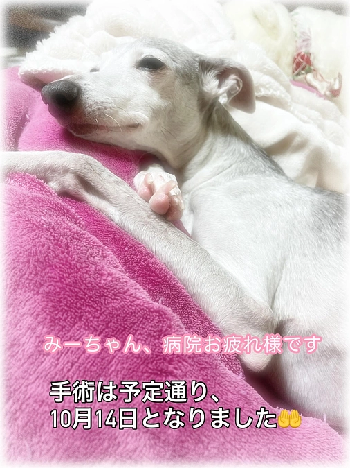 精密検査の結果です🏥