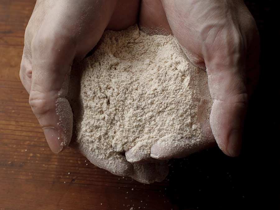 【リターンの紹介】三浦市でしか買えないパンケーキミックス／充実さんの自家製小麦「ゆめかおり」の全粒粉