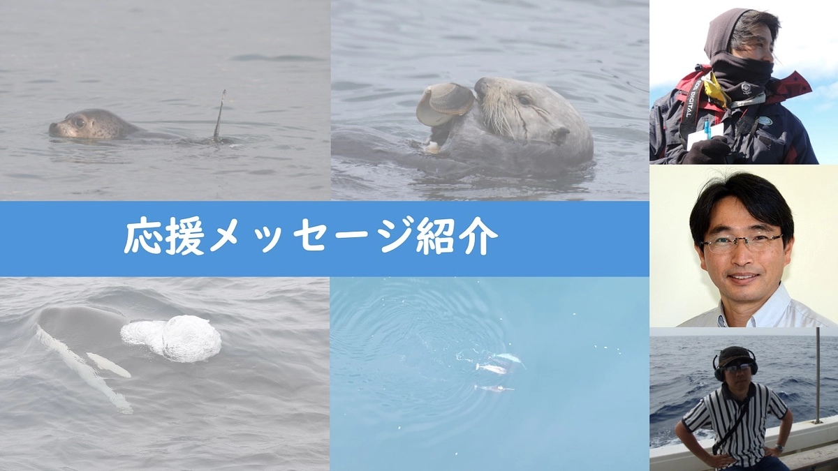 応援メッセージ③