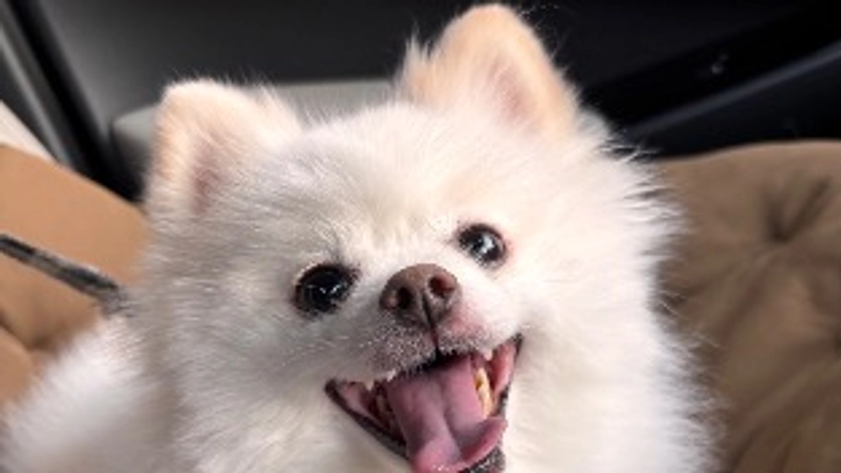 🏥手術　当日🏥