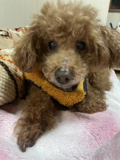 初インスタライブさせていただきます！