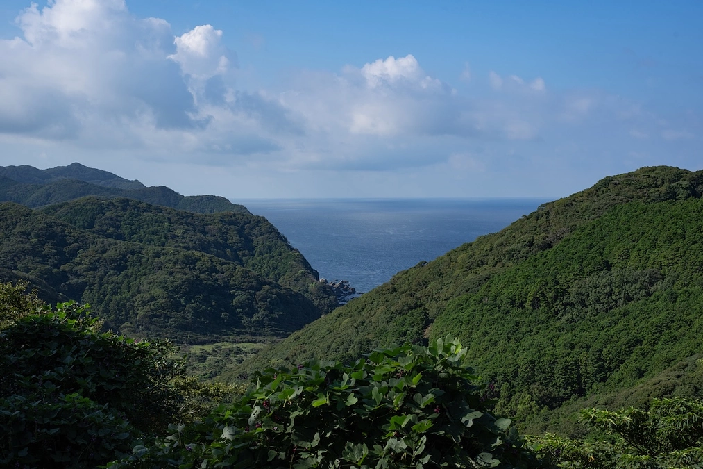 やべっちの現地リポート(4)