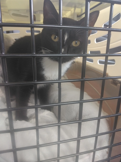 4/28はなちゃんの様子