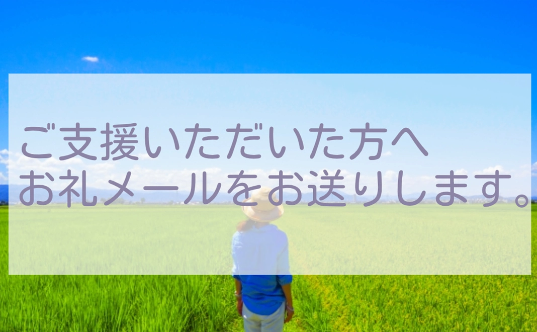 10000+システム利用料