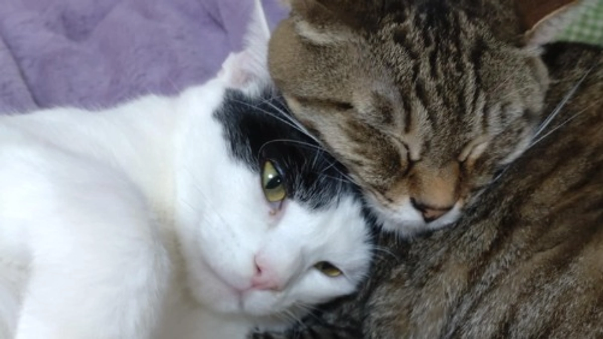 店舗移転のプロジェクトを立ち上げています