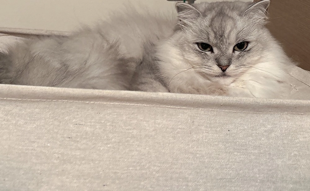 感謝のメール　１