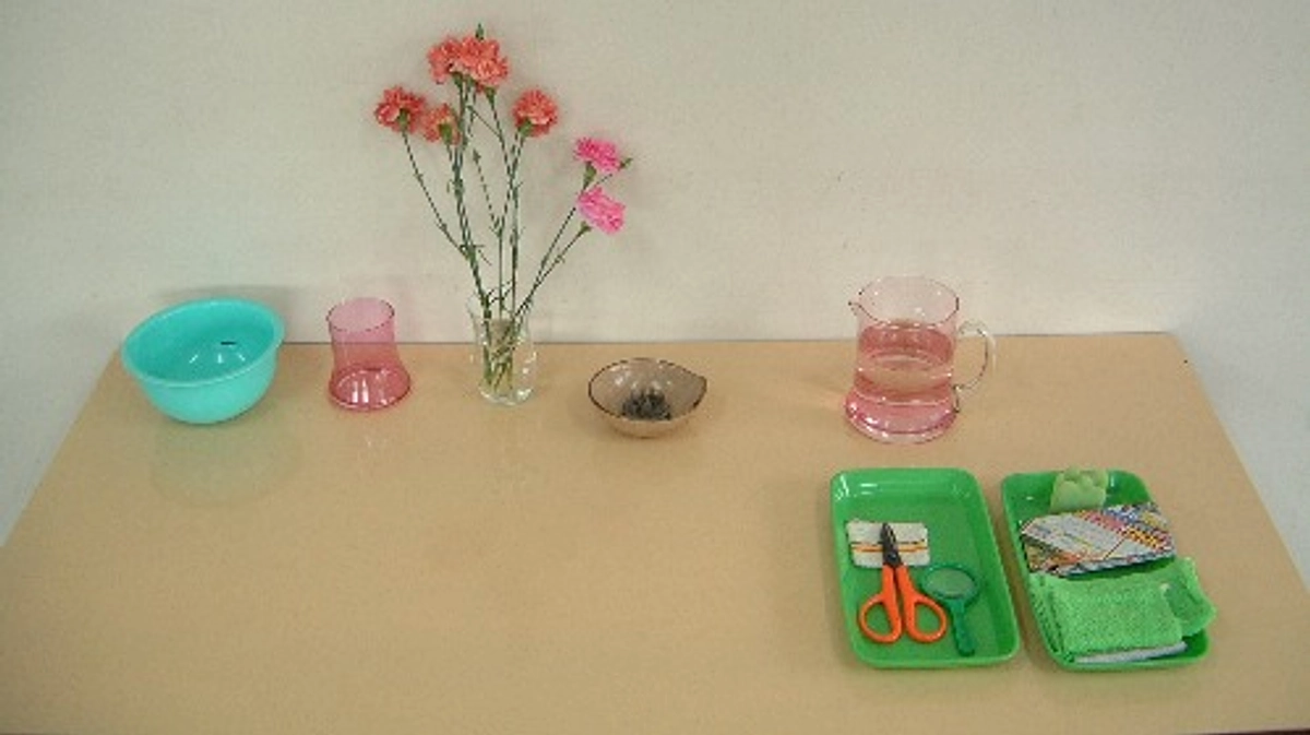 もうすぐ達成率50％に届きます！皆さん、ありがとう！