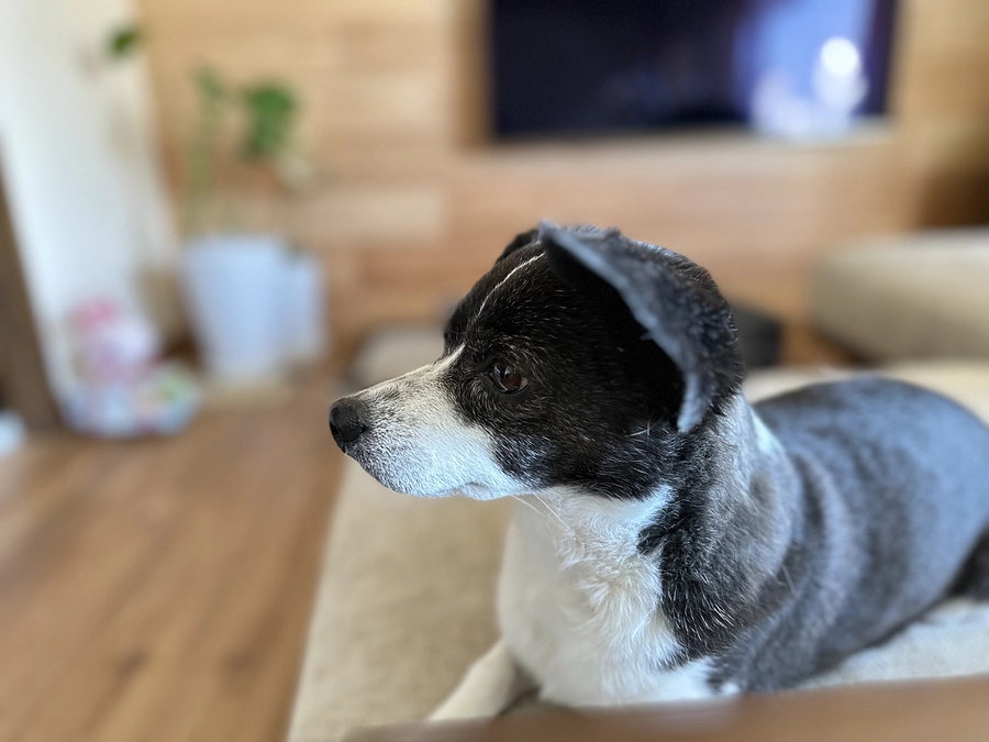 副作用落ち着きました。