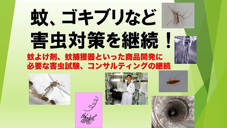 蚊、ゴキブリなどの衛生・不快害虫対策やコンサルティングを継続！