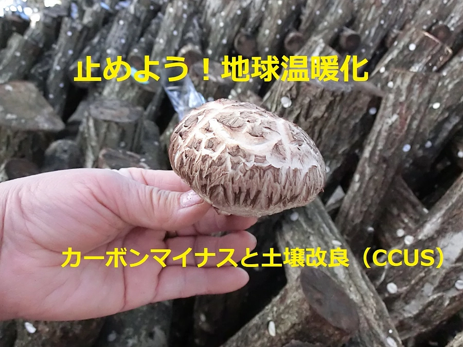 地球温暖化を止めましょう