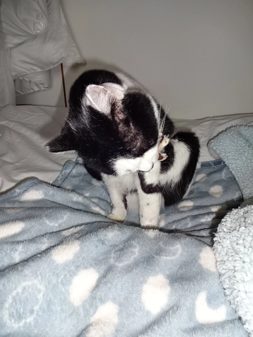 diary Vol.57　今年 初めて病院での検査と薬2袋量に増えた事。