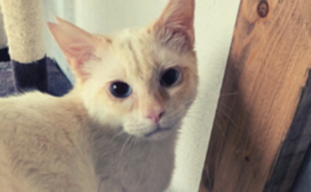 応援コース｜5,000円