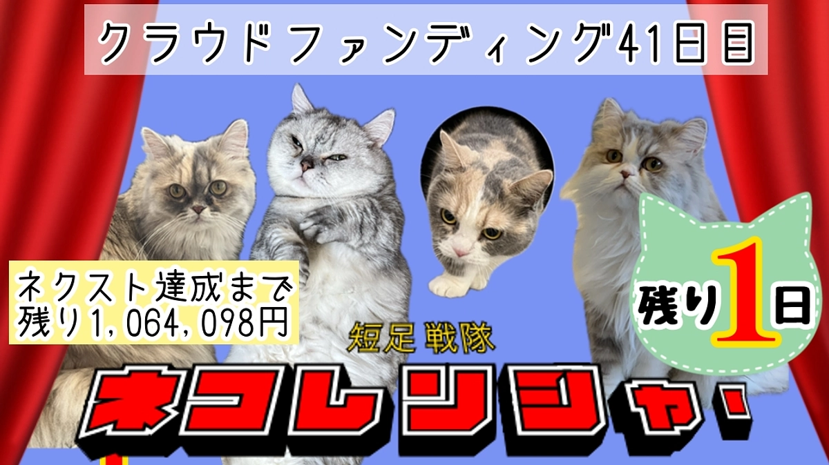 猫まる茶屋を支える正社員猫の仲間たち編。