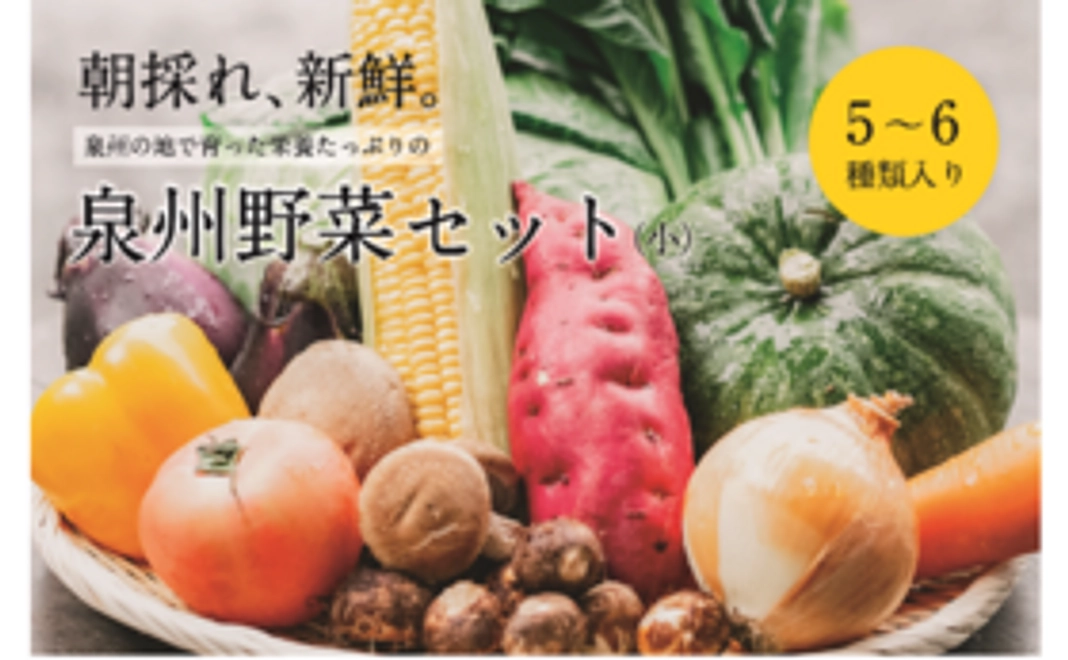 季節の泉州野菜セット（小）（2万5千円）
