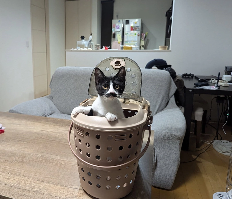 １月２１日は２件２頭のお届けがありました♪