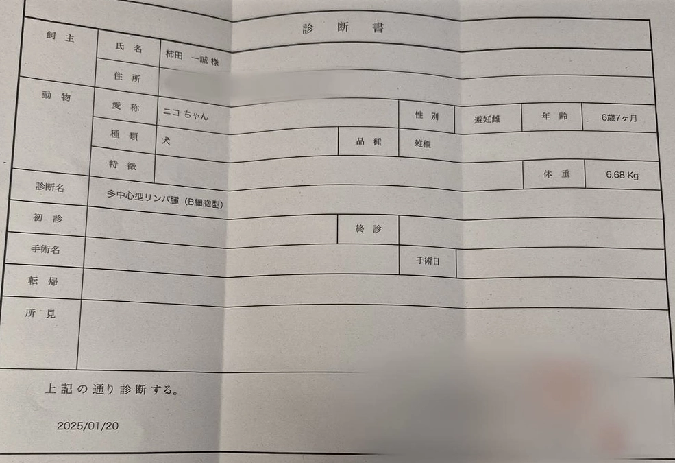 【大切な家族・ニコちゃんのために】