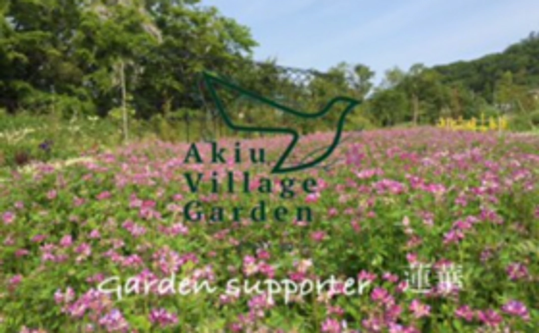 お礼のお手紙＆ガーデンサポーター認定証（蓮華)