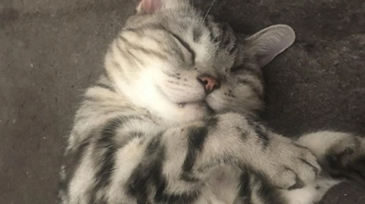 【第一関門まであと223,000円です！】11年目のご連絡をいただきました。