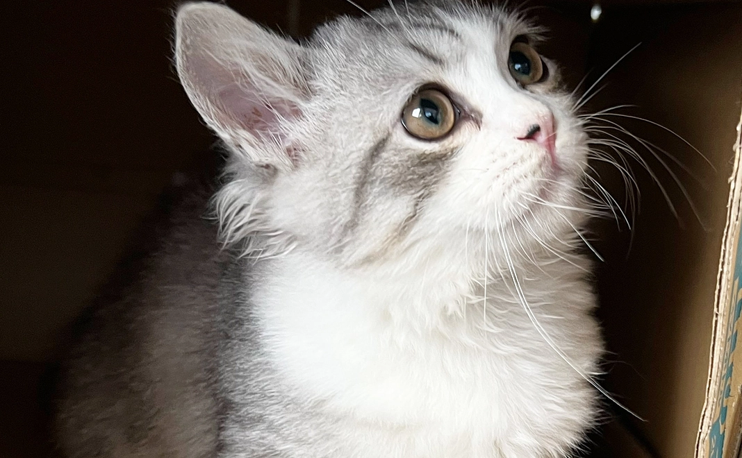 ココロから感謝コース(3000円)