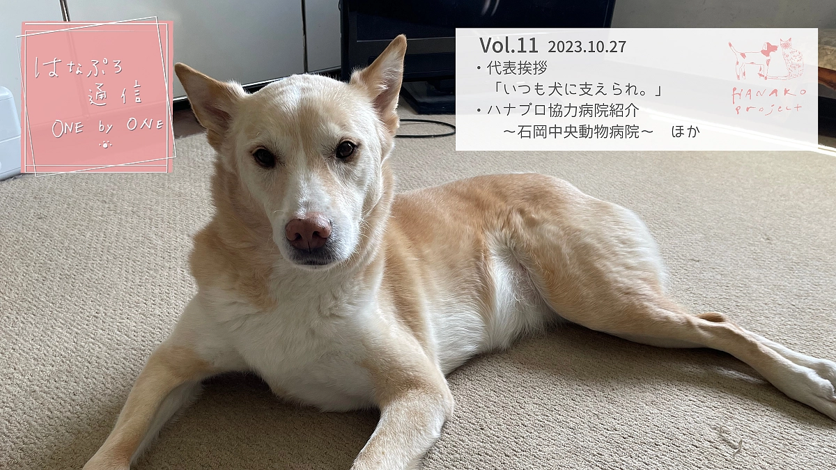 「はなぷろ通信 one by one」Vol.11