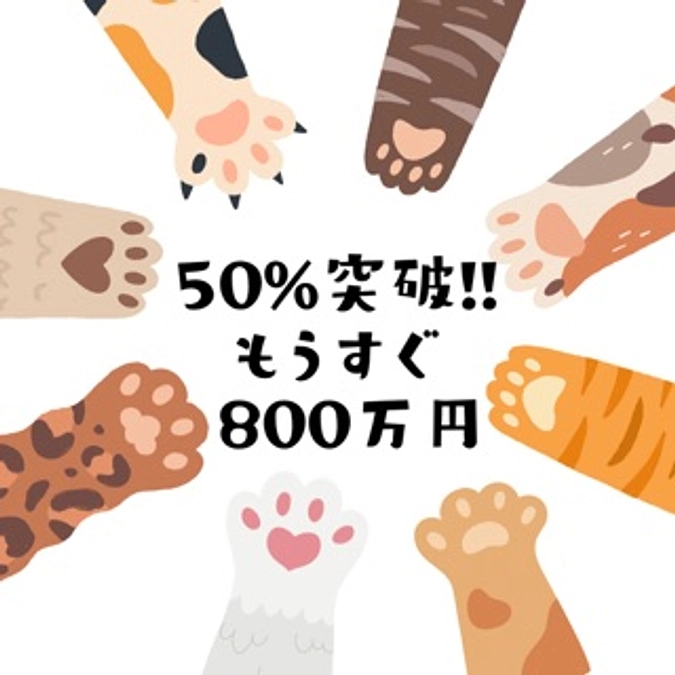 50％突破‼️ご支援ありがとうございます🙇‍♀️
