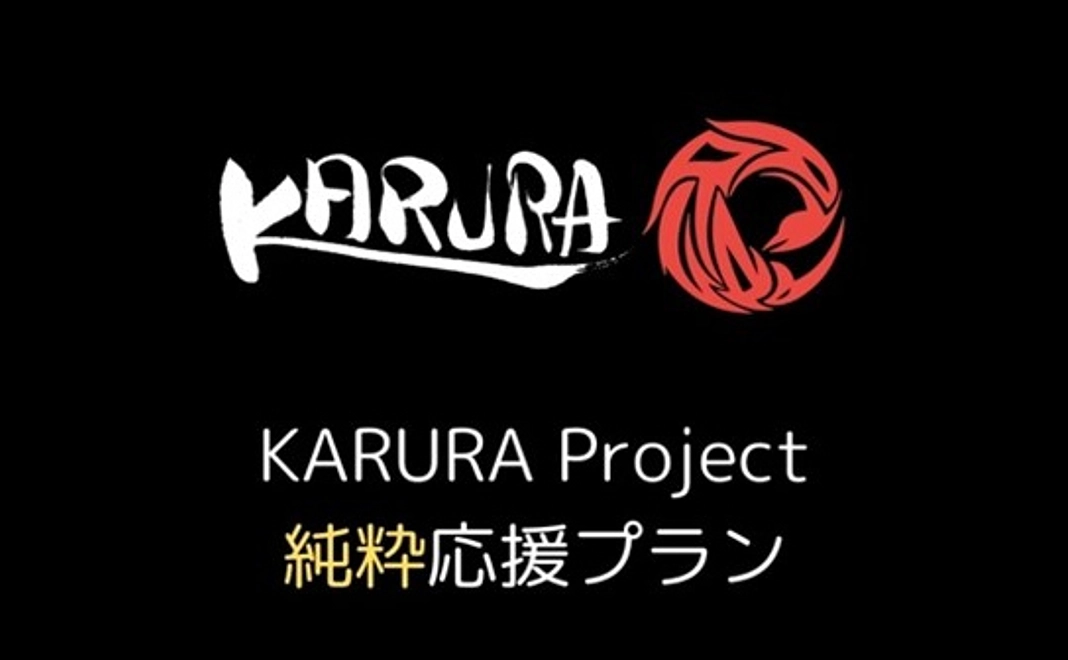 純粋応援プラン