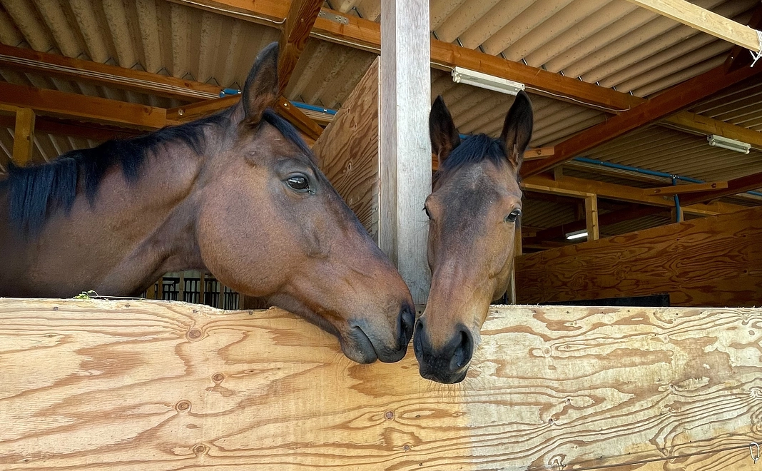 リトレースサポーター【2000円コース】