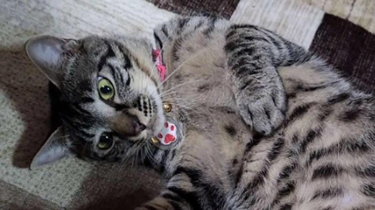 【クラウドファンディング達成のご報告】