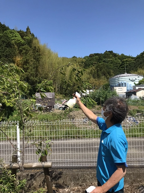 桜の消毒作業を行いました！😊