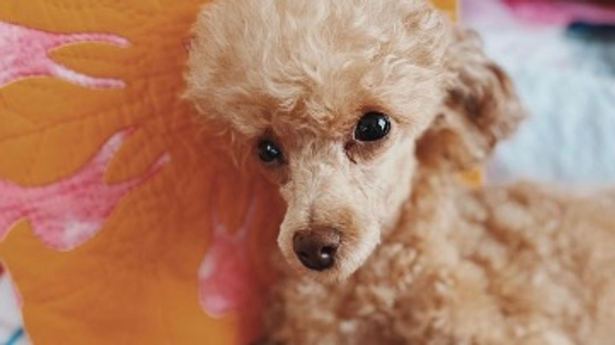 最終目標への想い｜代表伊東より