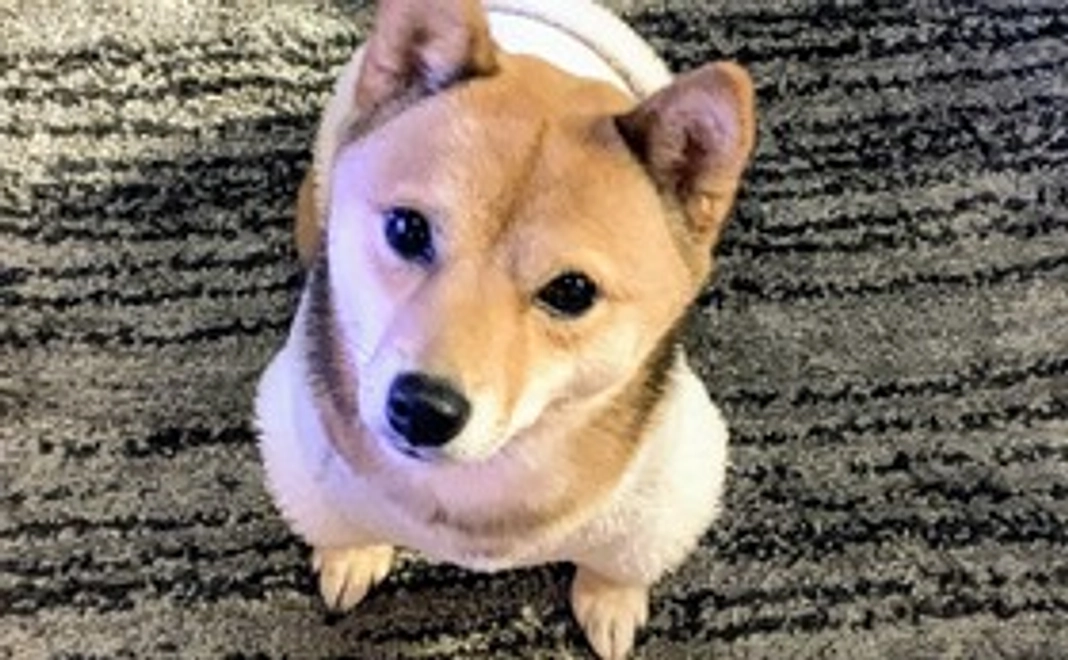 みかんの応援①