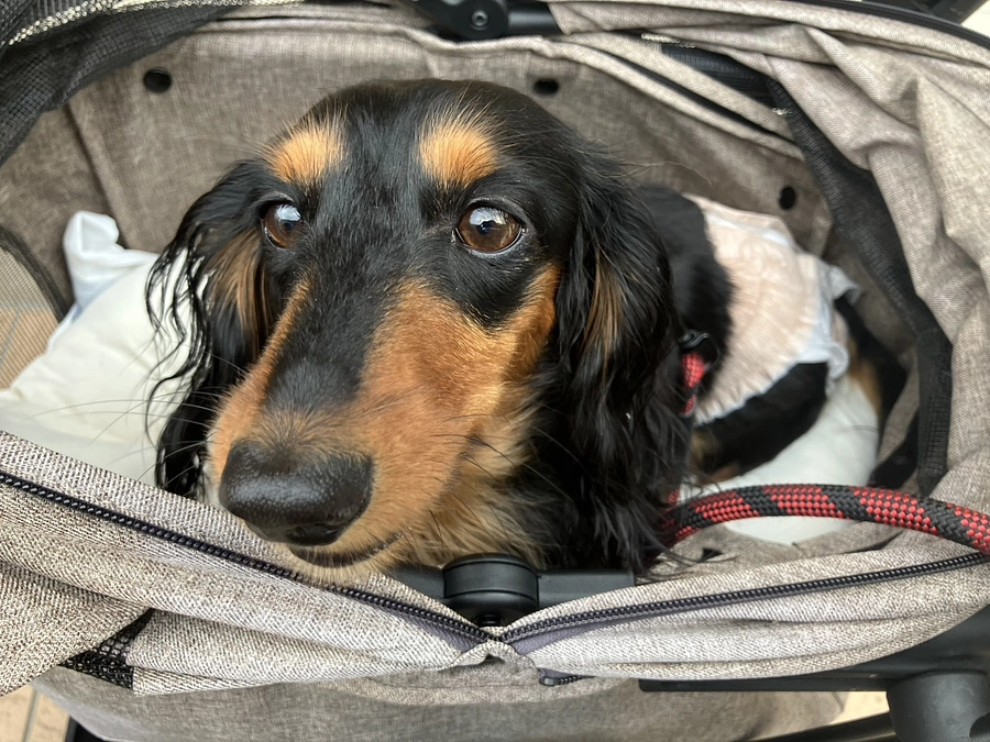 闘病記録【再発の日】