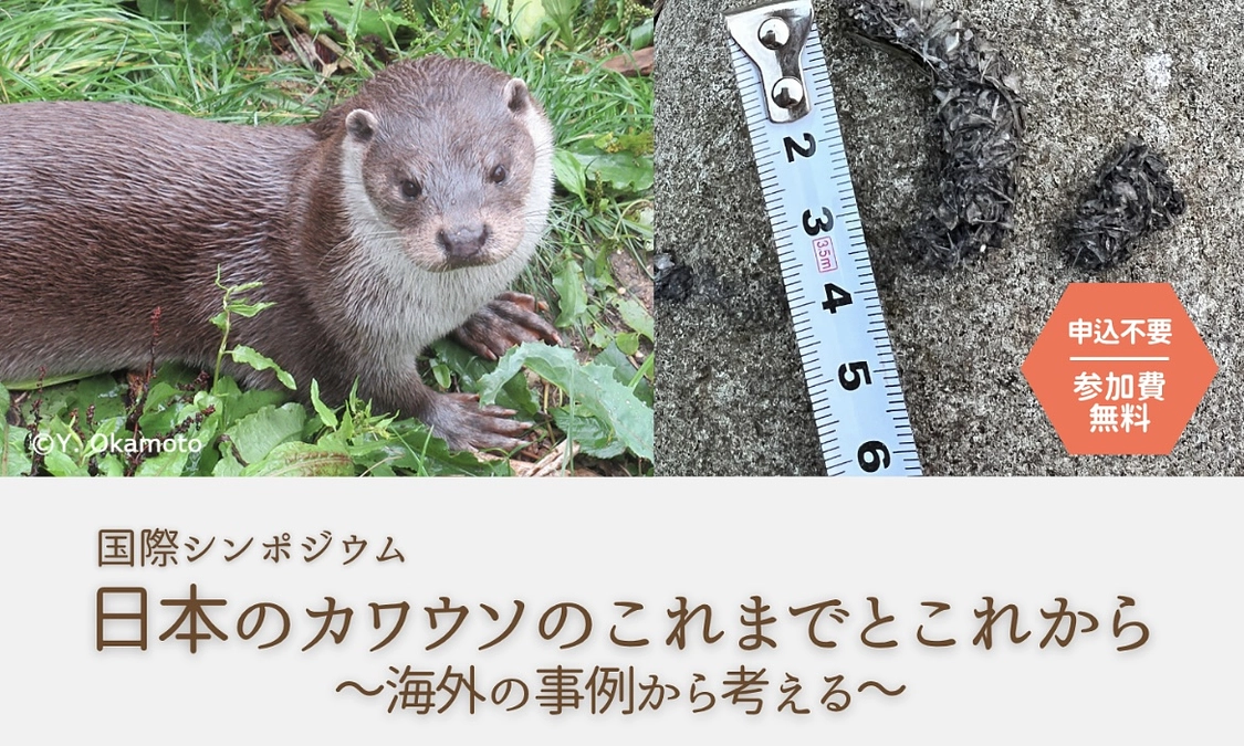 国際シンポジウム 「日本のカワウソのこれまでとこれから ―海外の事例から考える」　開催のお知らせ