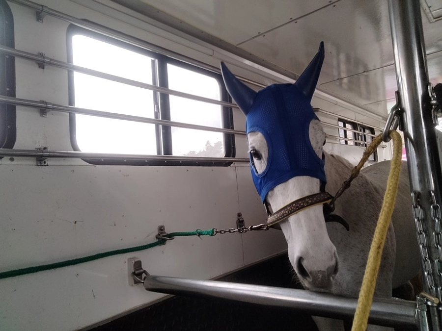 【残り5日！】紡っ子たち輸送の日①