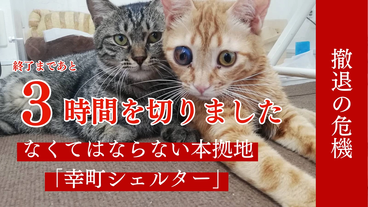 残り3時間を切りました！本日23時まで全力で駆け抜けます！