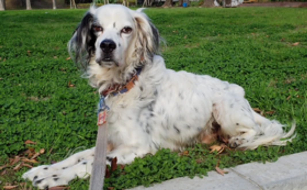 【お気持ちコース】