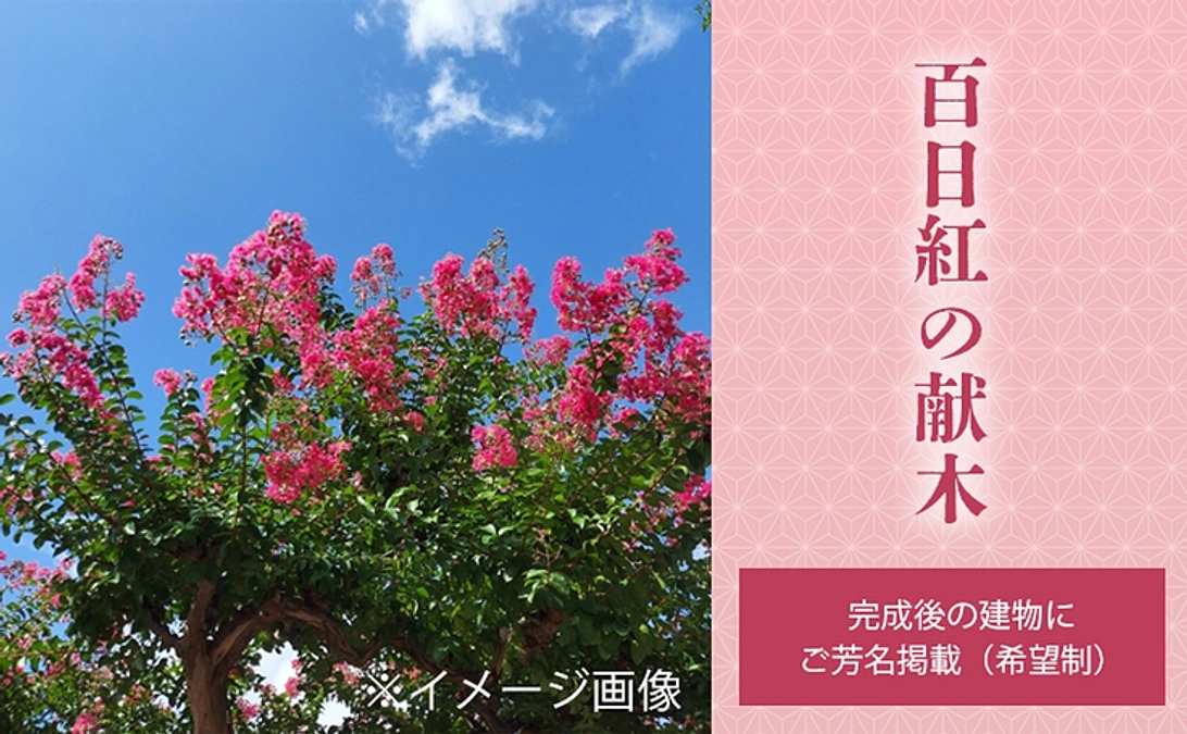 献木コース　～百日紅～　を追加しました