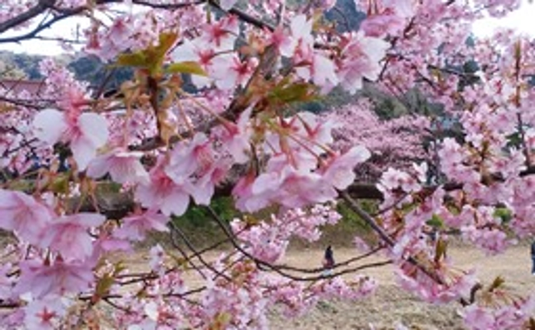 感謝のメールをお出し致します。ご希望により駐車場での車中泊、１泊２日、１台・普通車でお願い致します。
