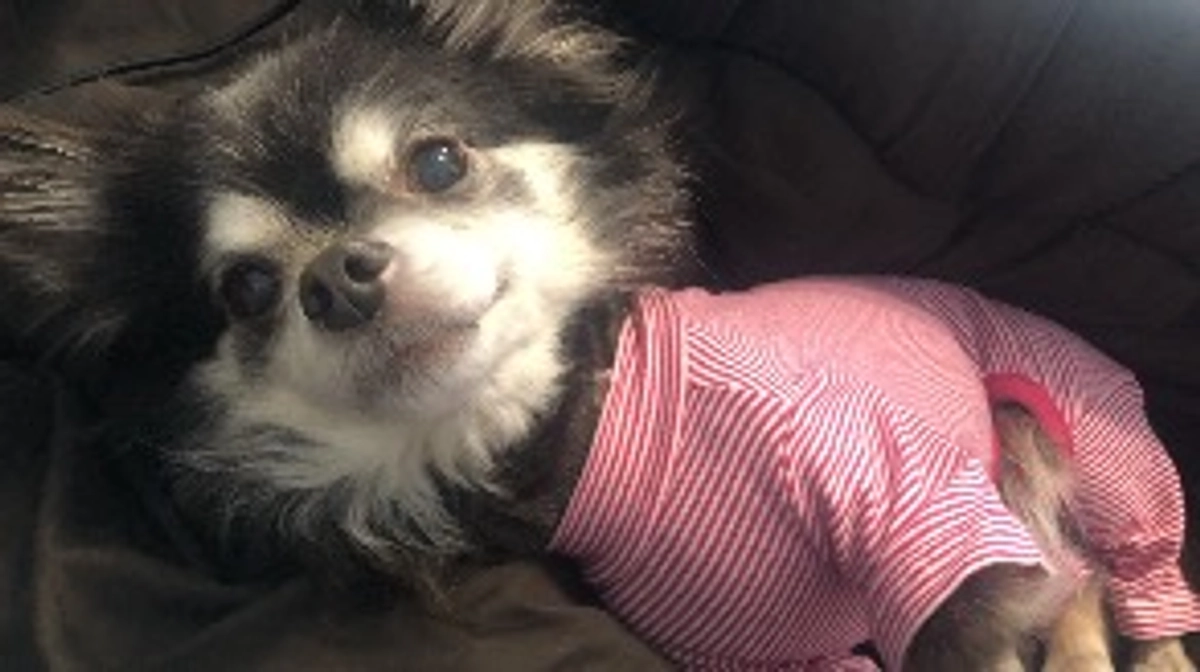 【残り4日‼️】ご支援をしてくださった皆さまに再度のお願いです