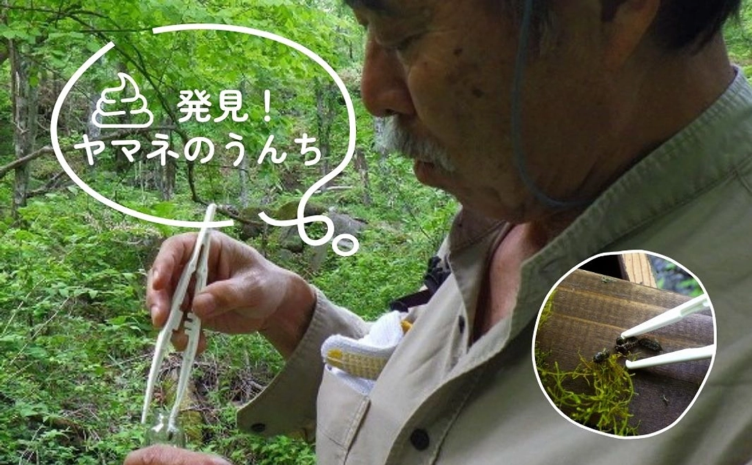 🐾いきものフィールド日記 No.5  「発見！ヤマネのうんち」