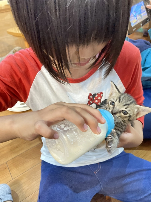 懐かしい写真にほっこり