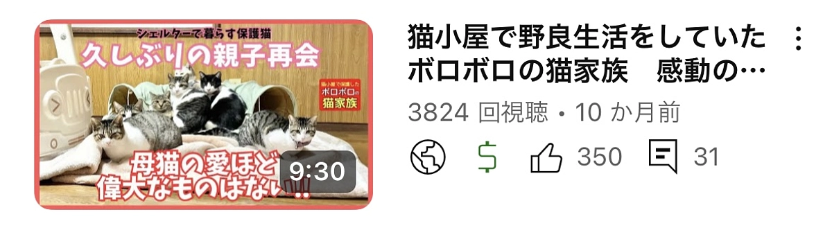 母猫の愛ほど偉大なものはない