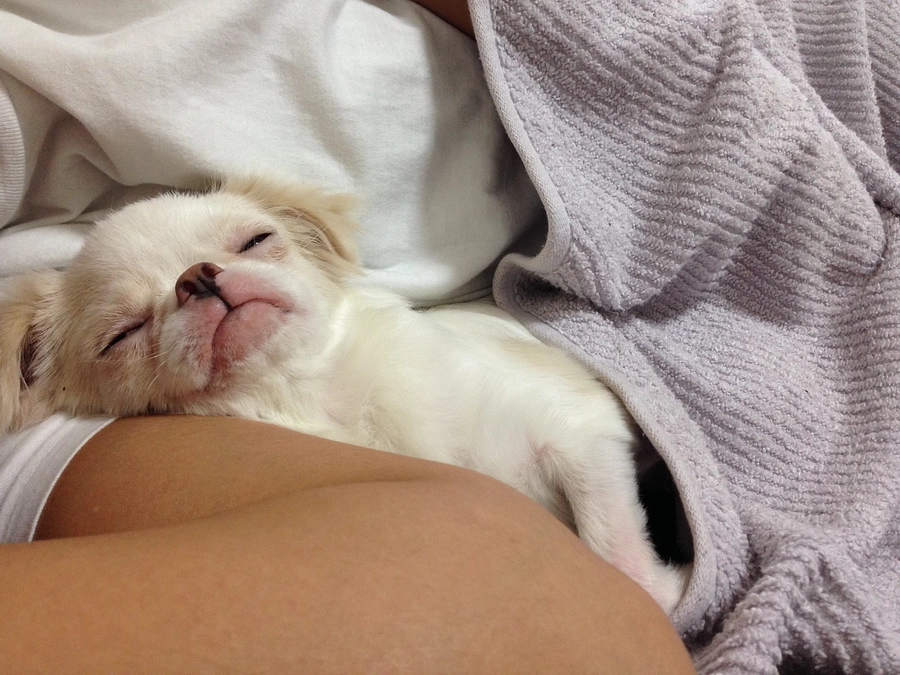 残り37日✊‼️