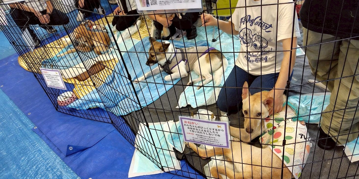 8月10日　プレーゲ大仁様で譲渡会