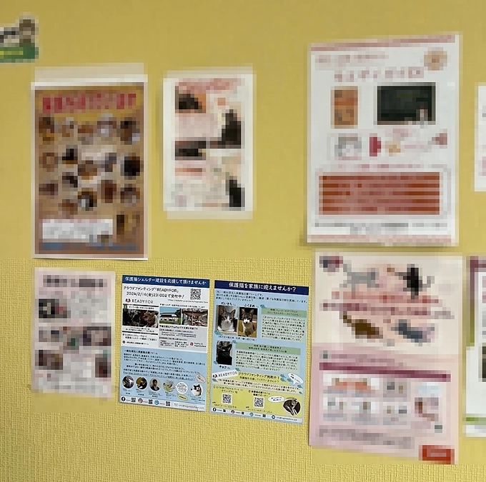 【活動報告】保護猫シェルター建設に伴う応援のお願い（カウントダウン27日！）