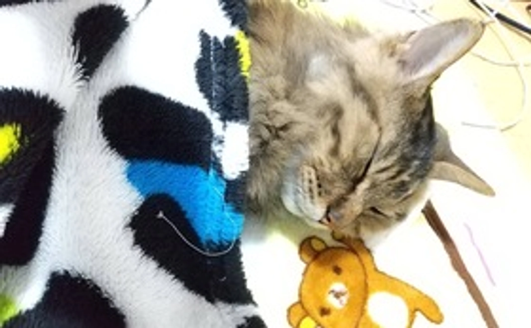 ☆心を込めたお礼メール☆