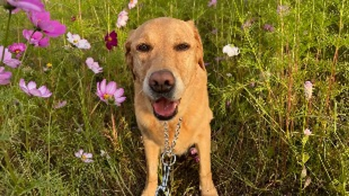 今年も来れてよかったね🌸